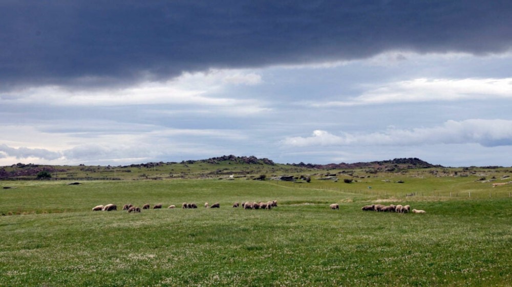 The battle to save one of the planet’s best fossil preserves