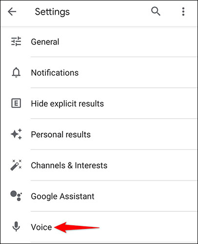 Tap "Voice" on the "Settings" page.