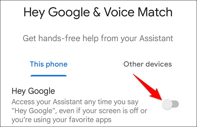 Activate the "Hey Google" option.